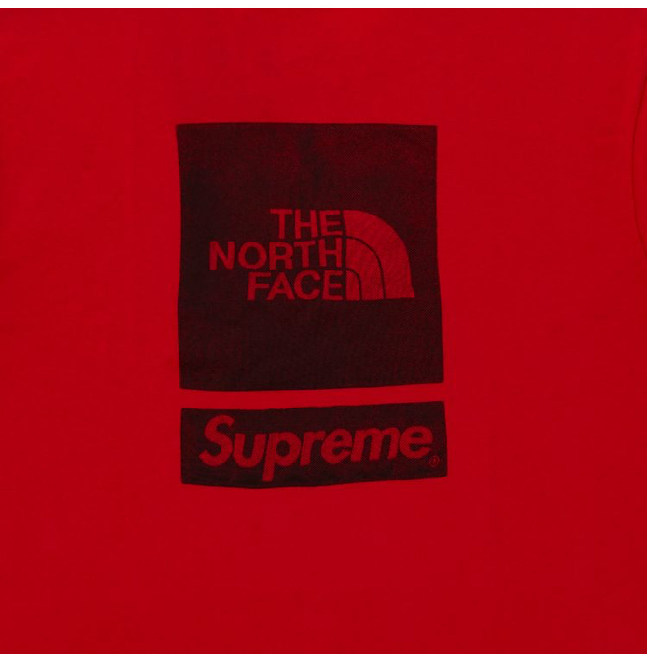 Camiseta Supreme The North Face M/C “Rojo”