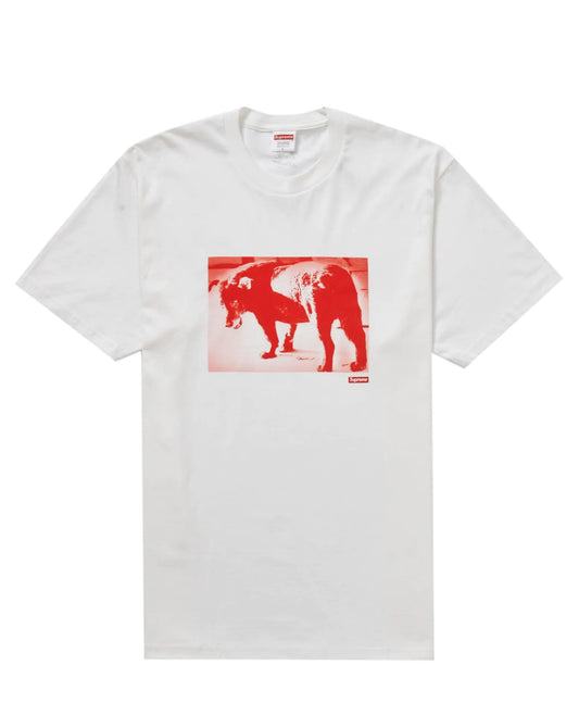 Supreme Daido Moriyama Dog Tee